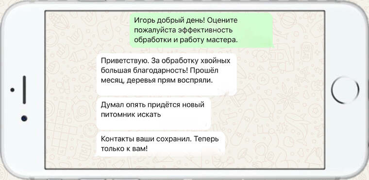 оказываем лечение деревьев от любых болезней - фото №1