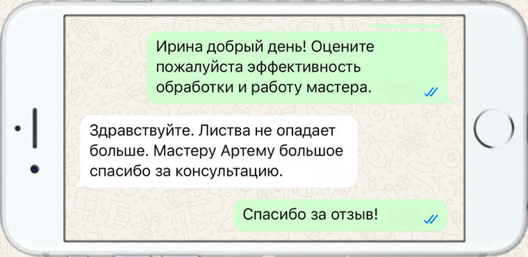 оказываем лечение деревьев от любых болезней - фото №22